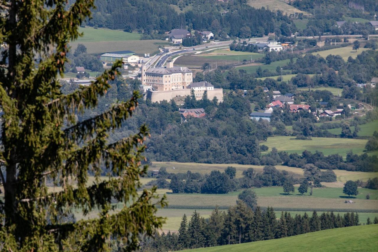 Ferienhaus Buchmann Lehen Irdning