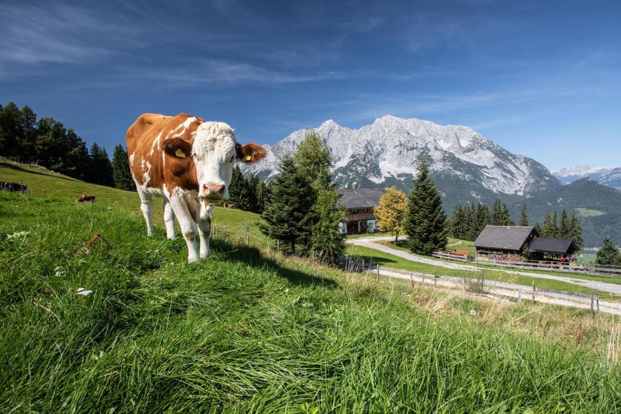 Buchmann Lehen Ferienhaus Irdning